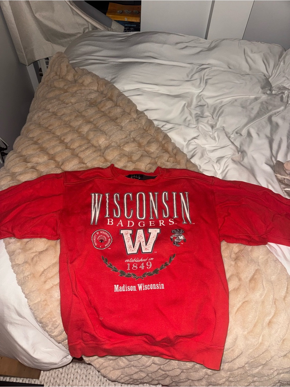 Vintage Wisconsin Sweatshirt